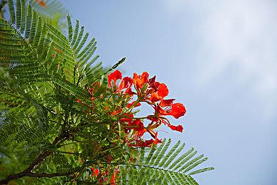 《雪人的故事》将于12月14日登陆PC平台